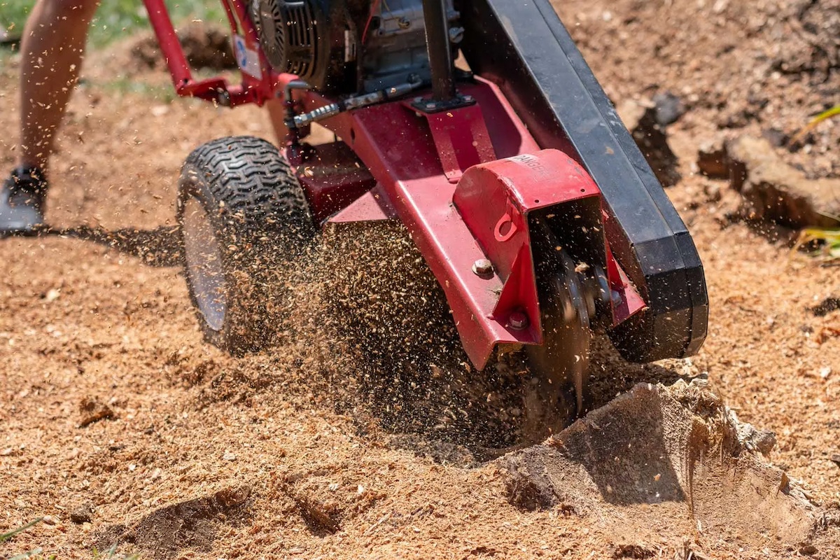 How Stump Grinding in Vancouver, Washington Can Improve Your Landscape Image