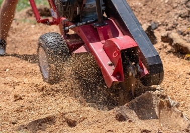 How Stump Grinding in Vancouver, Washington Can Improve Your Landscape sidebar image